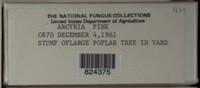 Image Associated With the Occurence